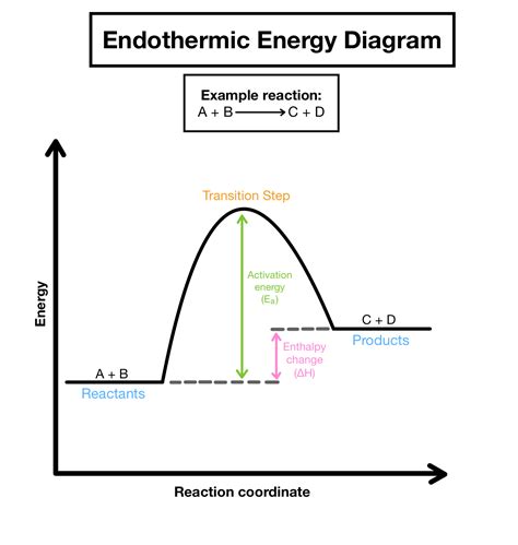 Endothermic And Exothermic Reaction Graph