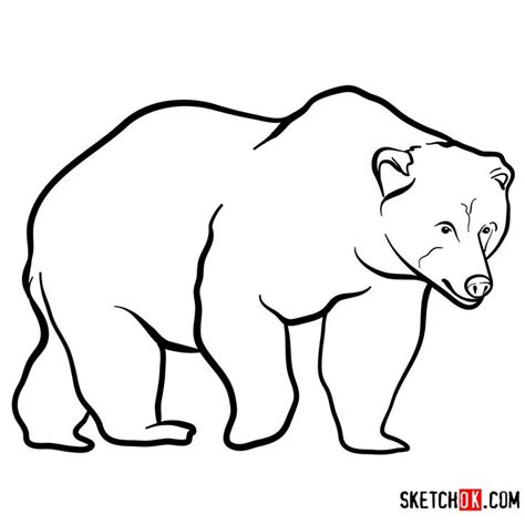 How to draw a Brown bear | Wild Animals - Step by step drawing ...