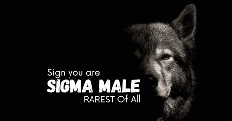 5 SIGNS You're A SIGMA Male | The RAREST Of All Men # ...