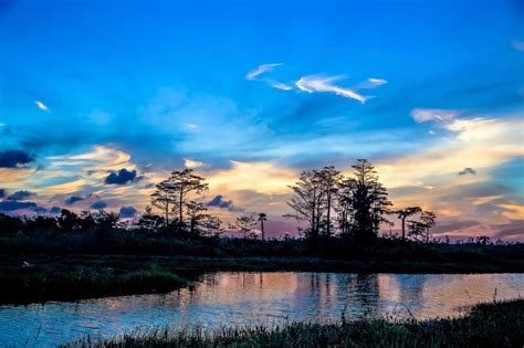 What to Expect on a Night Ride Tour of Lake Jesup