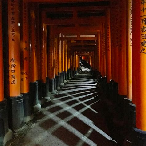 Fushimi Inari shrine at night, Kyoto. First time as a photographer ...