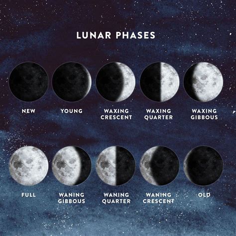 the phases of the moon for each phase in which you can see them from ...