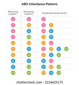 Abo Blood Group Inheritance Patterns Stock Illustration 2214625175 ...