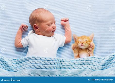 Baby Boy Sleeping with Kitten. Child and Cat Stock Photo - Image of ...