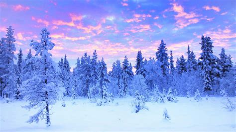 Sweden winter - Ekonomiskt och starkt ljus för hemmet