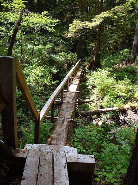 Log Bridge | Outdoor landscaping, Rustic bridge, Garden bridge