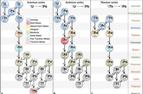 Decay series of (A) uranium-238 ( 238 U), (B) uranium-235 ( 235 U), and ...