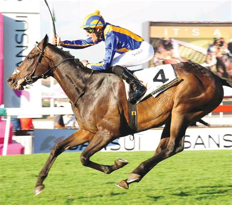 Time to salute the Highveld Feature Season winners | The Citizen