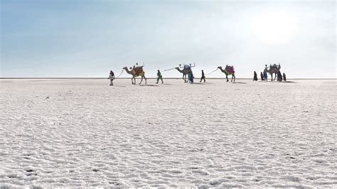 Rann of Kutch, Gujarat: For its salt desert and town beneficial ...