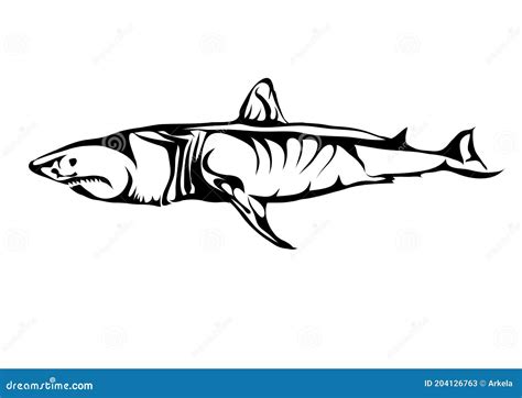 Great white shark stock vector. Illustration of fish - 204126763