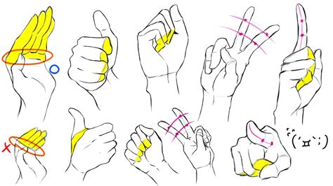 How to Draw Hands and Hand Poses for Beginners