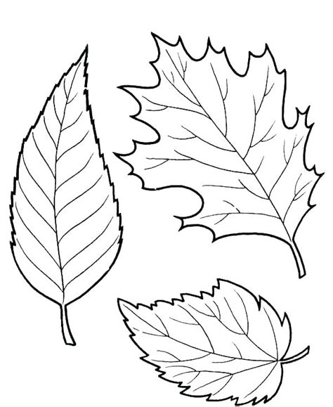 Fall Leaves Coloring Pages Printable - Printable Word Searches