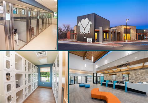 BDA Architecture :: 5 Considerations for a Smart Animal Shelter Design