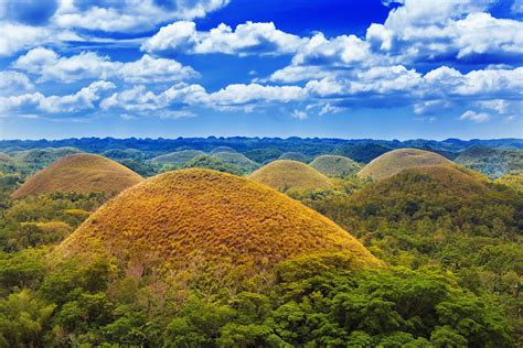 Bohol Full-Day Countryside Sightseeing | With Buffet Lunch