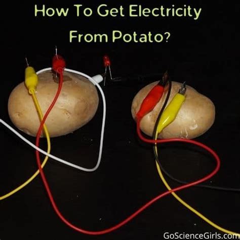 Potato Light Bulb Science Fair Project | Shelly Lighting