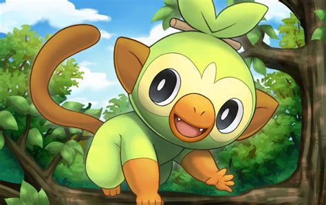 15 Interesting And Amazing Facts About Grookey From Pokemon - Tons Of Facts