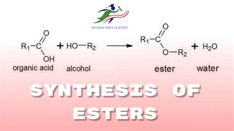 Synthesis Of Esters | Ester Synthesis Five Methods | Organic Chemistry ...