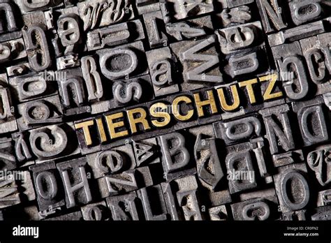 The word "Tierschutz", German for "animal welfare", made of old lead ...