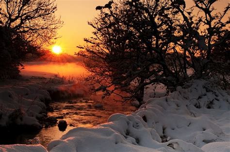 Northern Ireland, Ballynure, in Winter, sun, snow, sunset, trees ...