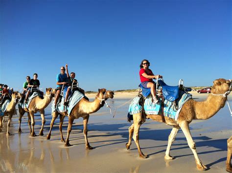 Camel Ride - McKenzie Family Holiday 2013