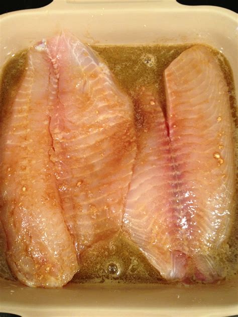 Broiled Tilapia Fillets - My Judy the Foodie