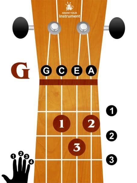 Basic Ukulele Chords For Beginners - Know Your Instrument