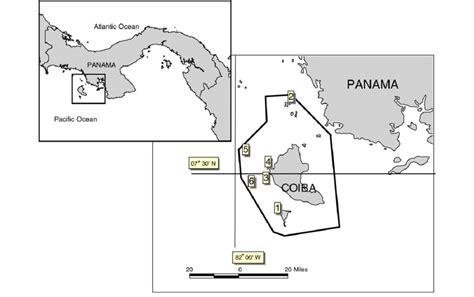 Location of sampling of spotted dolphins schools. | Download Scientific ...