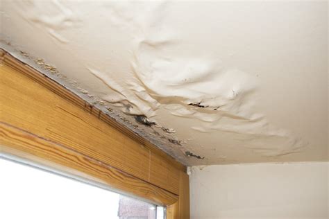 What to Expect From the Water Damage Restoration Process