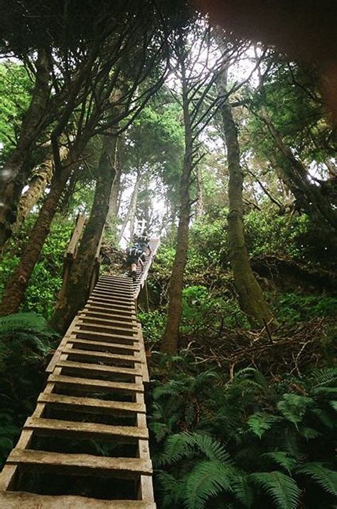 There is Always a Way | West coast trail, Hiking trip, Outdoors adventure