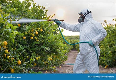 Spray Weed Killer Stock Image | CartoonDealer.com #748165