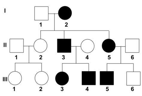 Sex Linked Pedigrees Sex Linked Pedigrees | Free Download Nude Photo ...