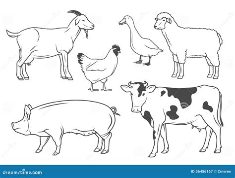 Farm Animals Sketch Hand Drawing. Cartoon Vector | CartoonDealer.com ...