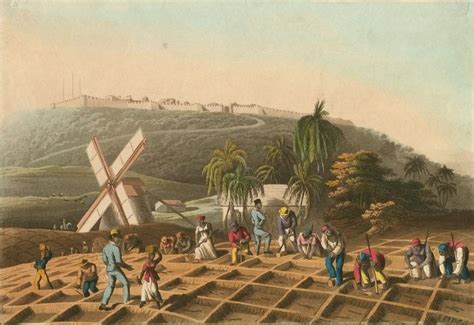 On Barbados, the First Black Slave Society - AAIHS