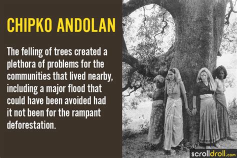 The Story of Chipko Andolan: A True Feminist Movement!