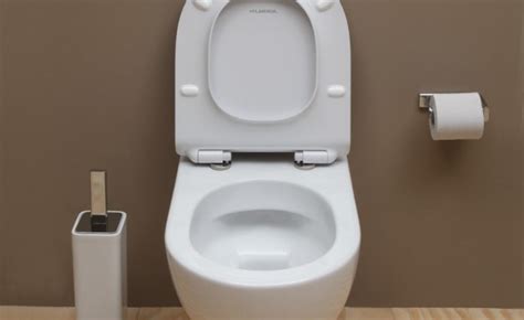 The innovation of the rimless toilet bowl for an easy and quick ...