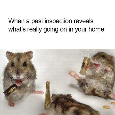 7 Best Pest Control Memes images in 2020 | pest control, pests, termites