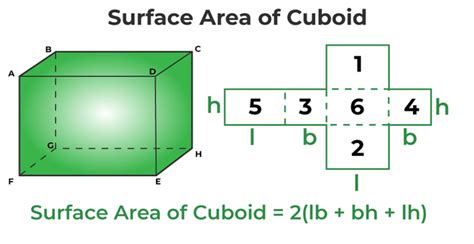 Surface Area of Cuboid - Definition, Formulas, Derivation, Examples