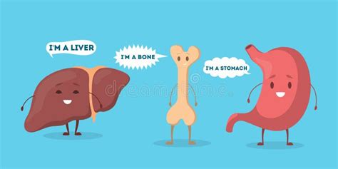 Internal Human Organ with Funny Faces Set. Anatomy and Biology Concept ...