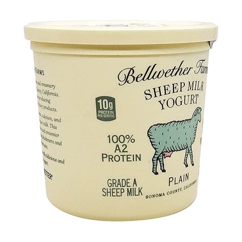 Plain Sheep Milk Yogurt, 24 oz at Whole Foods Market