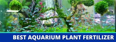 Best Aquarium Plant Fertilizer for your Planted Fish Tank | 2022 Reviews