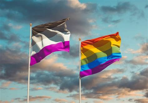 What Exactly Is The Asexual Pride Flag, And What Does It Mean?