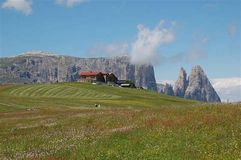 Alpe Di Siusi Alpine Meadow Alps - Free photo on Pixabay - Pixabay