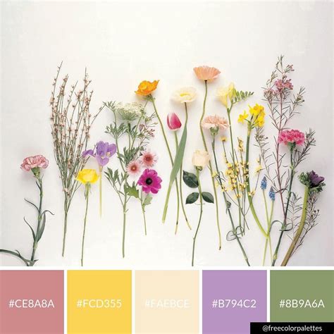 Spring Flower Pictures To Color / 1 - We think about how it'll ...