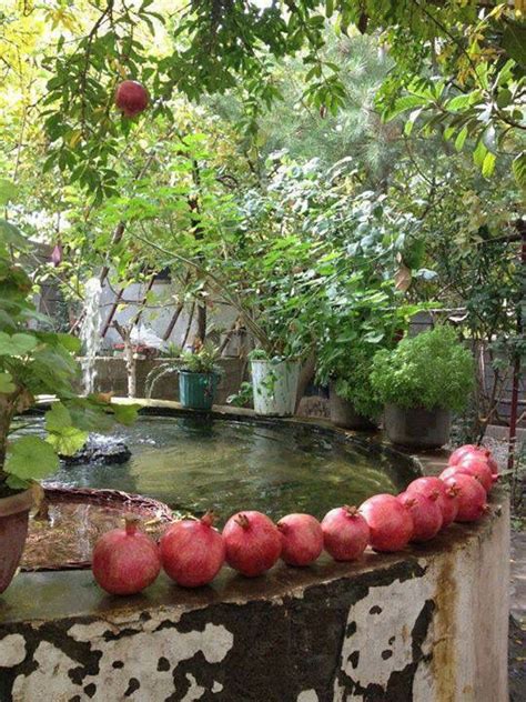 Iran house yard. | Persian garden, Garden design, Persian architecture