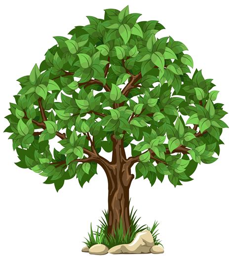 Tree Clip Art With Transparent Background