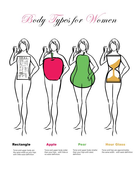 Different Body Types