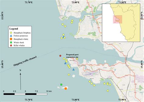 Goa’s Marine Mammals in Danger | Conservation India