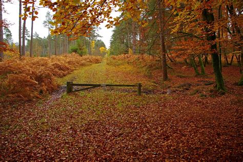 Autumn England Countryside Wallpapers - Wallpaper Cave