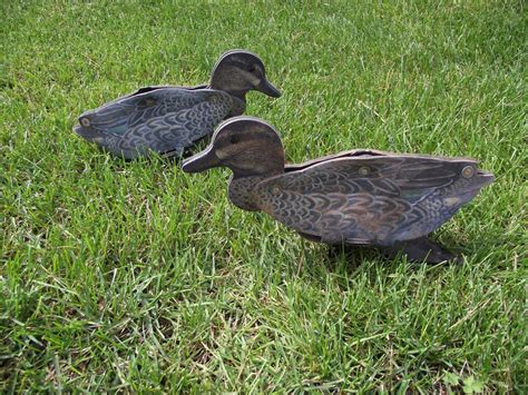 Green Wing Teal Decoy – Collapsible Full Body Teal Decoy