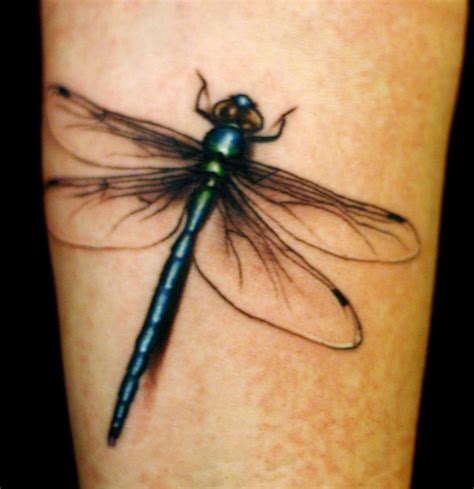 25 Best Dragonfly Tattoo Designs and Placement Ideas - The Xerxes